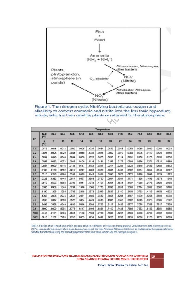 Belajar Tentang Danau Yang Telah Mengalami Masalah Kesuburan Perairan