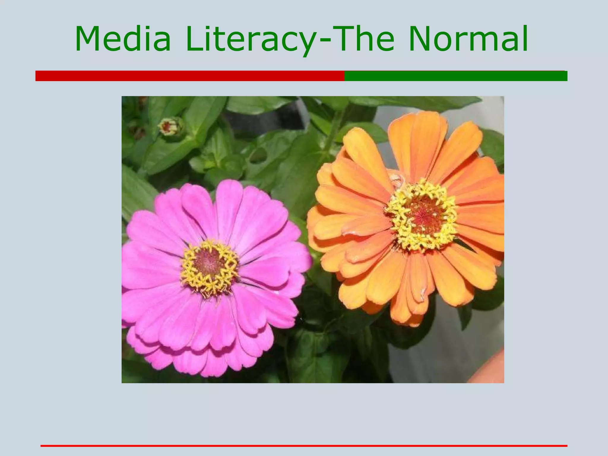 Media Literacy-The Normal 