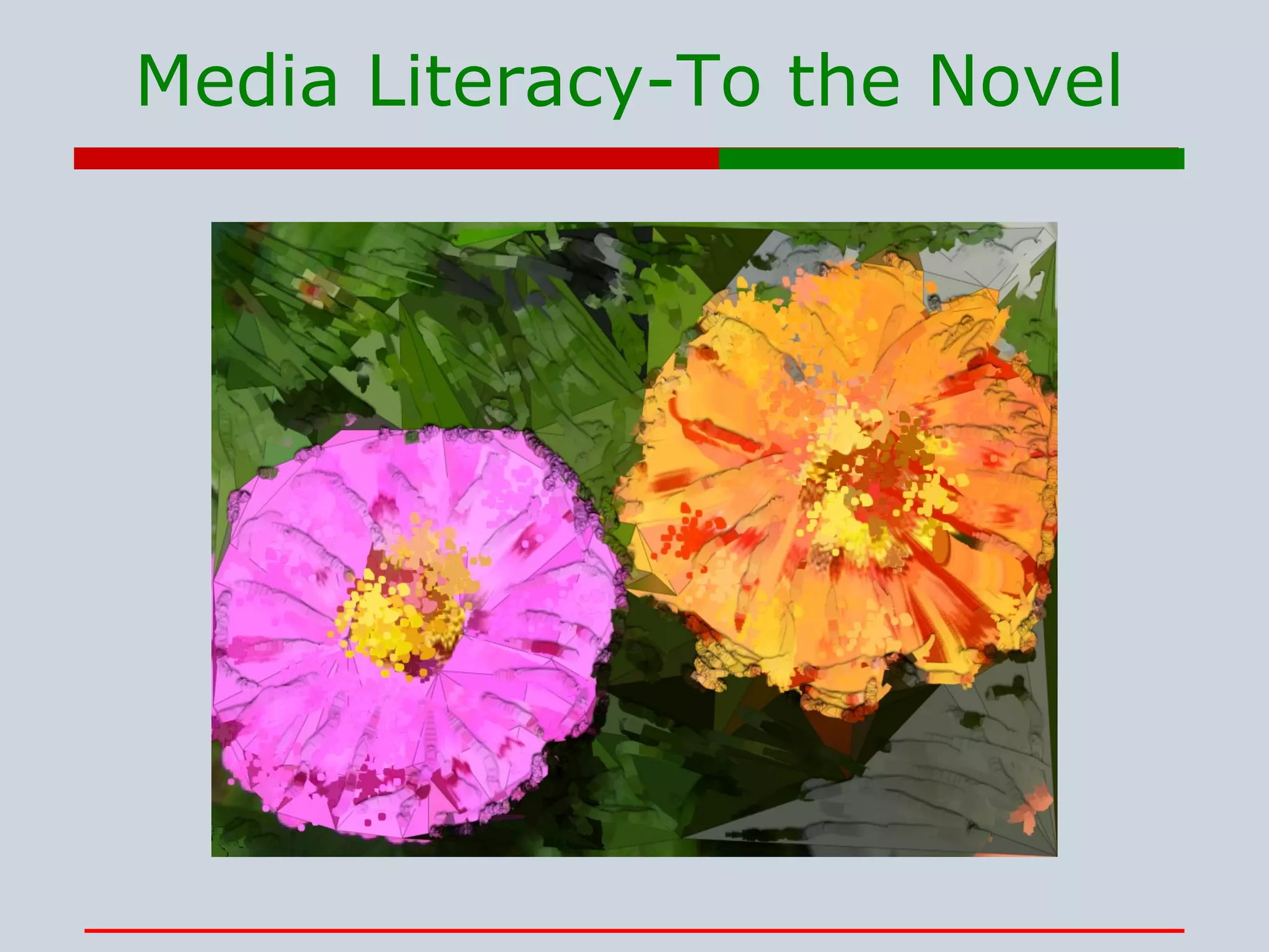 Media Literacy-To the Novel 