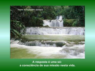 A resposta é uma só:  a consciência de sua missão nesta vida. Chutes  les 4 Cascades, Jamaique 