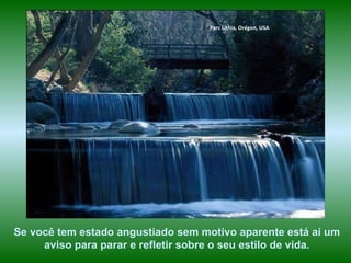 Se você tem estado angustiado sem motivo aparente está aí um  aviso para parar e refletir sobre o seu estilo de vida. Parc Lithia, Orégon, USA 