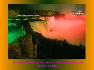 Chutes Niagara, Ontario, Canada Escute a sua alma: ela tem a orientação sobre qual caminho seguir. 