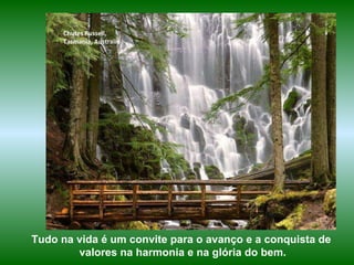 Chutes Russell,  Tasmania, Australie Tudo na vida é um convite para o avanço e a conquista de valores na harmonia e na glória do bem. 