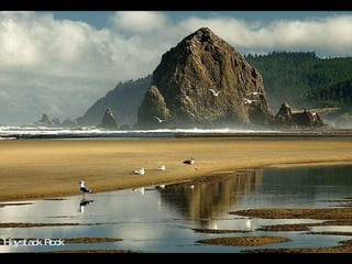 Haystack Rock 