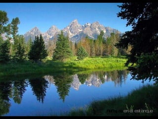 Reflejos   en el estanque 