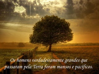 Os homens verdadeiramente grandes que passaram pela Terra foram mansos e pacíficos.  