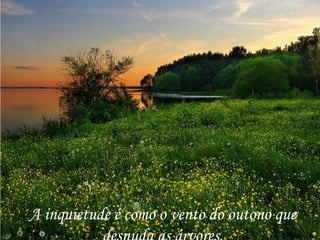 A inquietude é como o vento do outono que desnuda as árvores. 