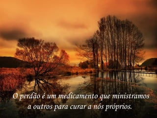 O perdão é um medicamento que ministramos a outros para curar a nós próprios.  