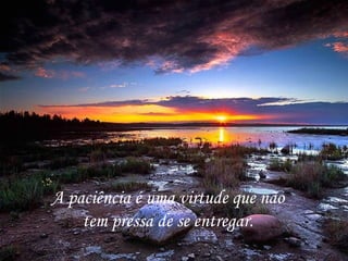 A paciência é uma virtude que não  tem pressa de se entregar.  