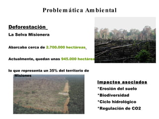 Problemática Ambiental Deforestación   La Selva Misionera Abarcaba cerca de  2.700.000 hectáreas   Actualmente, quedan unas  945.000 hectáreas lo que representa un 35% del territorio de Misiones Impactos asociados *Erosión del suelo *Biodiversidad *Ciclo hidrológico *Regulación de CO2 