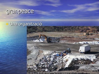 granpeace Una organització 