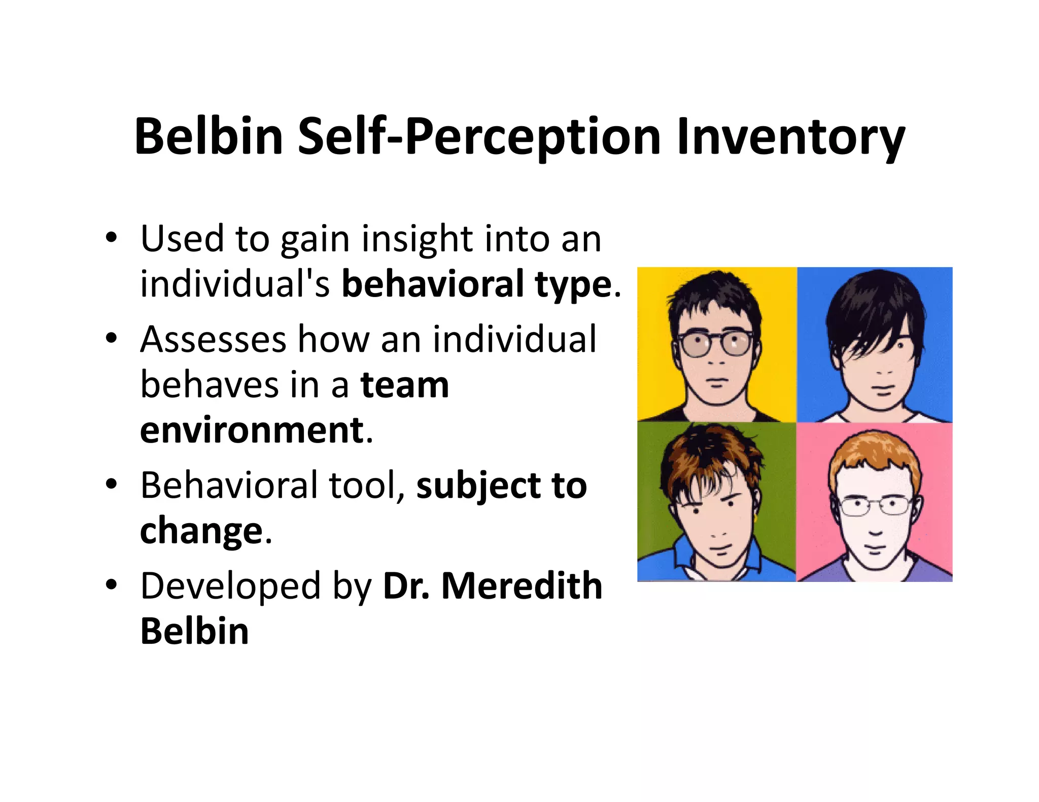 Belbin Team Inventory | PDF