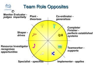 Belbin team-roles-nov-2009 | PPT