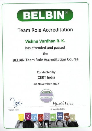 Belbin Team Roles Consultant
