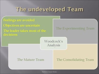 Belbin's Team Roles 