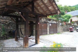 Un travail à ferrer est un dispositif conçu pour maintenir de grands animaux (chevaux et bœufs), en particulier lors du
ferrage.
 