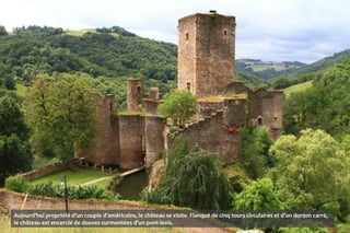 Aujourd'hui propriété d'un couple d'américains, le château se visite. Flanqué de cinq tours circulaires et d'un donjon carré,
le château est encerclé de douves surmontées d'un pont-levis.
 