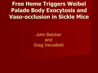 Free Heme Triggers Weibel
 Palade Body Exocytosis and
Vaso-occlusion in Sickle Mice


         John Belcher
             and
        Greg Vercellotti
 