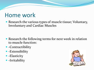Home work
 Research the various types of muscle tissue; Voluntary,
Involuntary and Cardiac Muscles
 Research the following terms for next week in relation
to muscle function:
 -Contractibility
 -Extensibility
 -Elasticity
 -Irritability
 