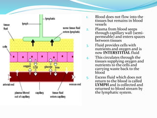 1. Blood does not flow into the
tissues but remains in blood
vessels
2. Plasma from blood seeps
through capillary wall (semi-
permeable) and enters spaces
between tissues
3. Fluid provides cells with
nutrients and oxygen and is
now INTERSTITIAL fluid
4. This circulates through the
tissues supplying oxygen and
nutrients to the cells and
carrying waste back to the
blood
5. Excess fluid which does not
return to the blood is called
LYMPH and is collected and
returned to blood stream by
the lymphatic system.
 