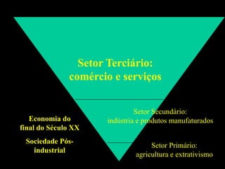 Setor Terciário:
              comércio e serviços


                              Setor Secundário:
   Economia do       indústria e produtos manufaturados
final do Século XX
 Sociedade Pós-
                                   Setor Primário:
   industrial
                              agricultura e extrativismo
 