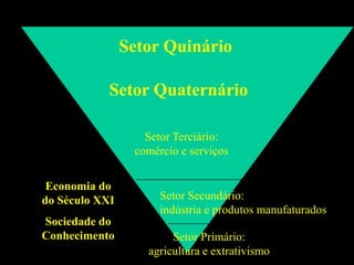 Setor Quinário

            Setor Quaternário

                   Setor Terciário:
                 comércio e serviços

 Economia do
do Século XXI         Setor Secundário:
                      indústria e produtos manufaturados
Sociedade do
Conhecimento            Setor Primário:
                   agricultura e extrativismo
 