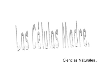 Las Células Madre. Ciencias Naturales . 