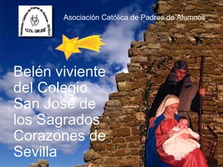 Asociación Católica de Padres de Alumnos Belén viviente del Colegio San José de los Sagrados Corazones de Sevilla 