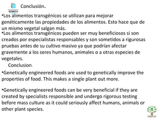 Conclusión . Los alimentos transgénicos se utilizan para mejorar genéticamente las propiedades de los alimentos. Esto hace que de un mismo vegetal salgan más. Los alimentos transgénicos pueden ser muy beneficiosos si son creados por especialistas responsables y son sometidos a rigurosas pruebas antes de su cultivo masivo ya que podrían afectar gravemente a los seres humanos, animales o a otras especies de vegetales. Conclusion . Genetically engineered foods are used to genetically improve the properties of food. This makes a single plant out more. Genetically engineered foods can be very beneficial if they are created by specialists responsible and undergo rigorous testing before mass culture as it could seriously affect humans, animals or other plant species. 