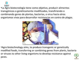 La Agro biotecnología tiene como objetivo, producir alimentos transgénicos o genéticamente modificados, transfiriendo o combinando genes de plantas, bacterias, o virus hacia otros organismos vivos para desarrollar resistencias en contra de plagas.  Agro biotechnology aims, to produce transgenic or genetically modified foods, transferring or combining genes from plants, bacteria or viruses to other living organisms to develop resistance against pests. 