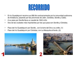 •   El río Guadalquivir recorre sus 666 Km exclusivamente por la comunidad autónoma
    de Andalucía, pasando por las provincias de Jaén, Córdoba, Sevilla y Cádiz.
•   A su paso por Sevilla lleva un caudal de 1643 m3/s
•   Dos de las ciudades más importantes por las que pasa son Sevilla y Córdoba.

•   Paso del río Guadalquivir por Sevilla , con la torre del Oro a su orilla .(1)
•   Paso del río Guadalquivir por Córdoba, con La Mezquita al fondo. (2)
 