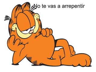 No te vas a arrepentir