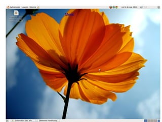 Linea y relleno  Menú   