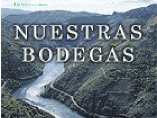 Ribeira Sacra y sus viñedos
Rio Miño y sus riberas
 
