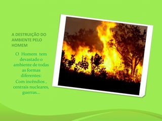 A DESTRUIÇÃO DO
AMBIENTE PELO
HOMEM
 O Homem tem
   devastado o
ambiente de todas
    as formas
    diferentes:
 Com incêndios ,
centrais nucleares,
     guerras…
 