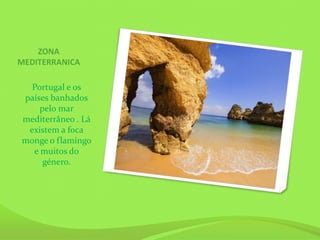ZONA
MEDITERRANICA

  Portugal e os
países banhados
    pelo mar
mediterrâneo . Lá
 existem a foca
monge o flamingo
  e muitos do
     género.
 
