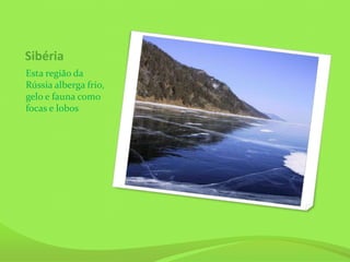 Sibéria
Esta região da
Rússia alberga frio,
gelo e fauna como
focas e lobos
 