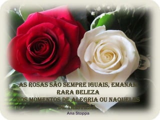 As rosas são sempre iguais, emanam
rara beleza
Nos momentos de alegria ou naqueles
de tristeza.
Ana Stoppa
 