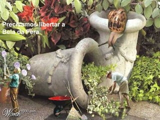 Precisamos libertar a
Bela da Fera
 