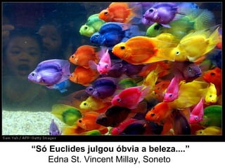 “Só Euclides julgou óbvia a beleza....”
Edna St. Vincent Millay, Soneto
 