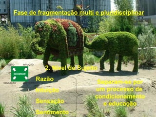 Fase de fragmentação multi e pluridisciplinar
2. Nível do Sujeito
Razão
Intuição
Sensação
Sentimento
Separam-se por
um processo de
condicionamento
e educação
 