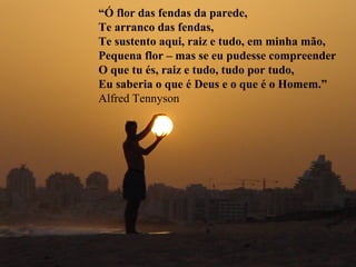 “Ó flor das fendas da parede,
Te arranco das fendas,
Te sustento aqui, raiz e tudo, em minha mão,
Pequena flor – mas se eu pudesse compreender
O que tu és, raiz e tudo, tudo por tudo,
Eu saberia o que é Deus e o que é o Homem.”
Alfred Tennyson
 