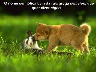 "O nome semiótica vem da raiz grega semeion, que
quer dizer signo“.
 