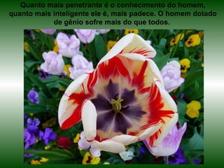 Quanto mais penetrante é o conhecimento do homem,
quanto mais inteligente ele é, mais padece. O homem dotado
            de gênio sofre mais do que todos.
 