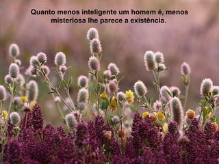 Quanto menos inteligente um homem é, menos
     misteriosa lhe parece a existência.
 