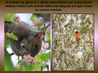 O homem de gênio e o doido assemelham-se neste ponto:
ambos vivem num mundo diferente daquela em que vivem
                 os outros mortais.
 