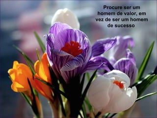 Procure ser um
 homem de valor, em
vez de ser um homem
     de sucesso
 