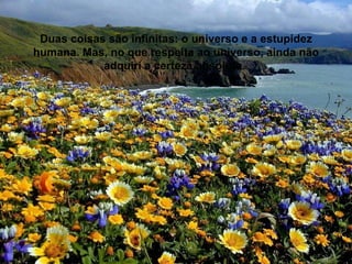 Duas coisas são infinitas: o universo e a estupidez
humana. Mas, no que respeita ao universo, ainda não
            adquiri a certeza absoluta.
 