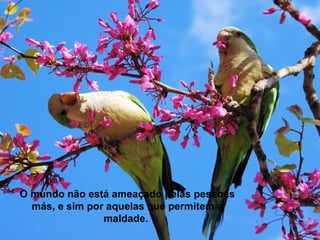 O mundo não está ameaçado pelas pessoas
  más, e sim por aquelas que permitem a
                maldade.
 