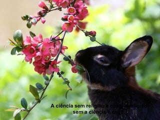 A ciência sem religião é coxa, a religião
         sem a ciência é cega.
 